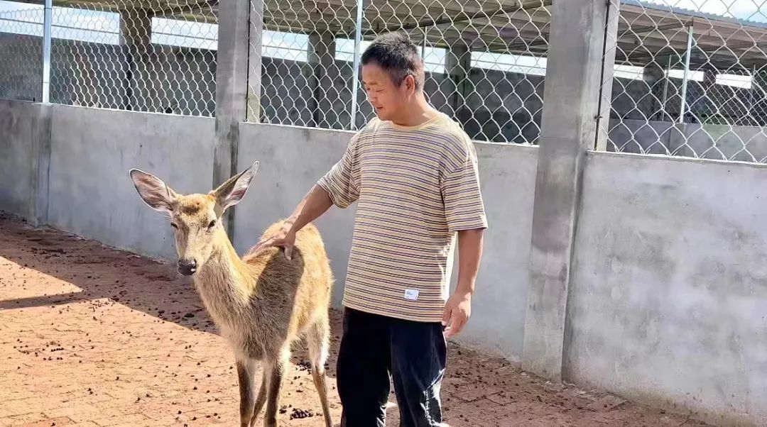天狮卓越卡会员登录
